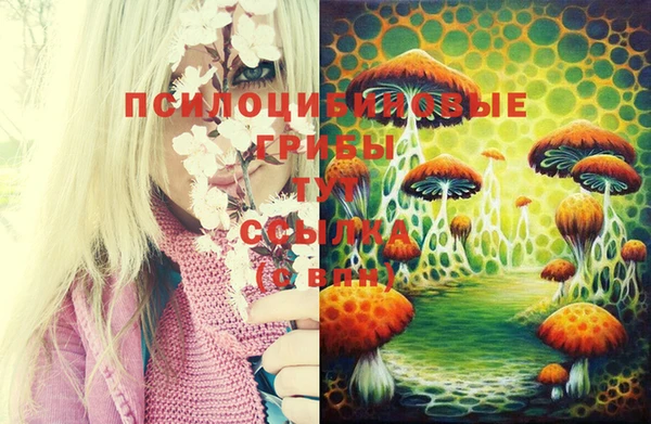 амф Пестово